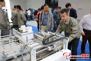 全國第十一屆菌博會 商務信息咨詢助力產業升級與貿易拓展